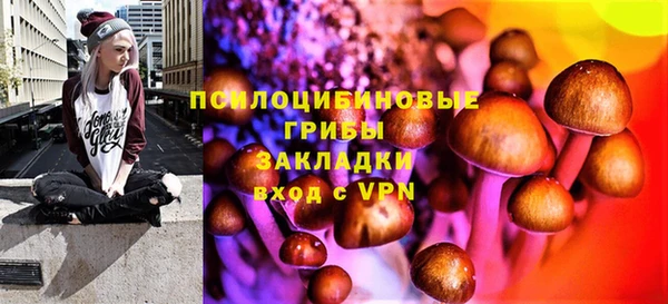МДПВ Аркадак