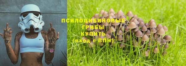 МДПВ Аркадак