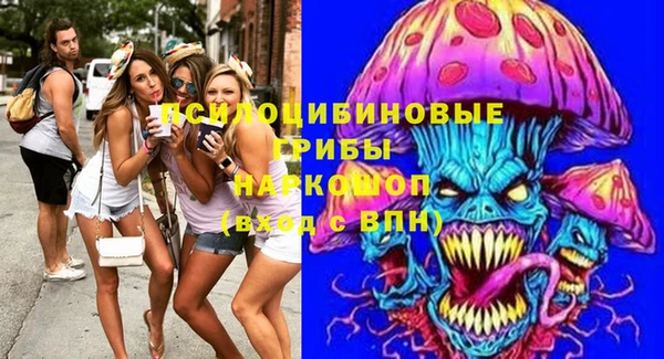 дурь Арсеньев