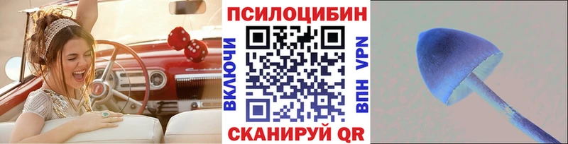Галлюциногенные грибы ЛСД  это какой сайт  Власиха 